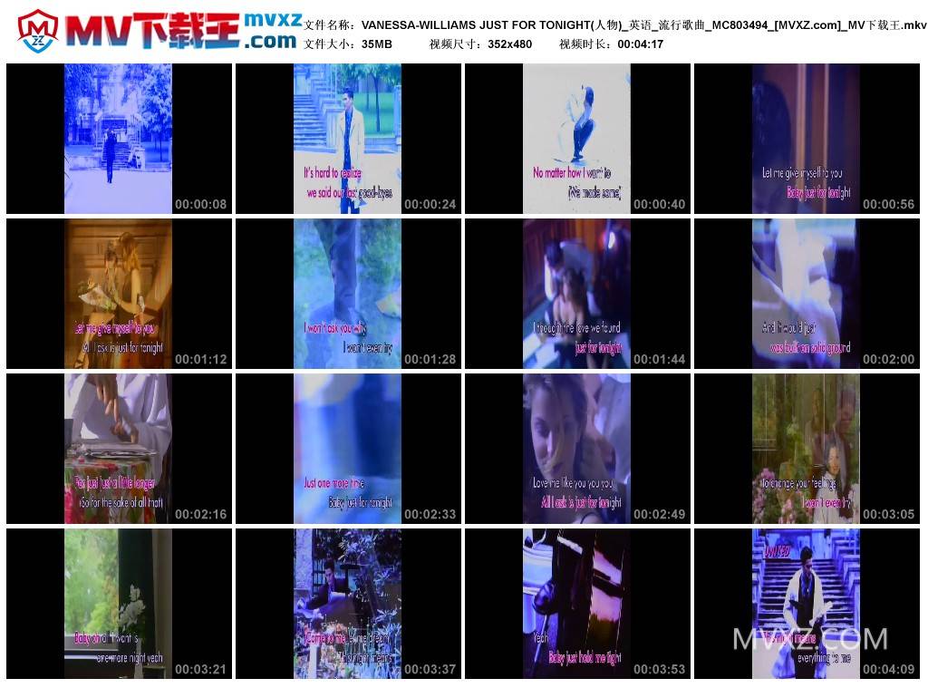 VANESSA-WILLIAMS JUST FOR TONIGHT(人物)_英语_流行歌曲_MC803494